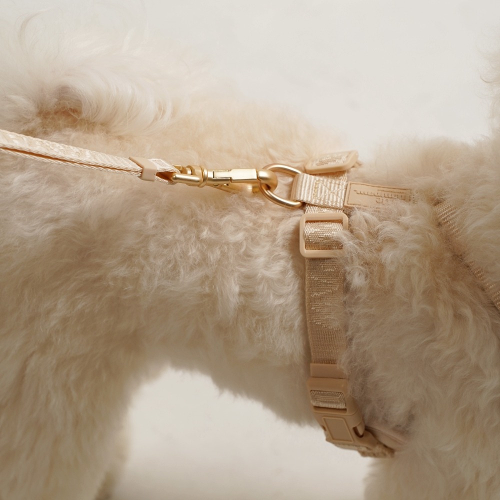 「調整_影像_大小」專_案拷貝6