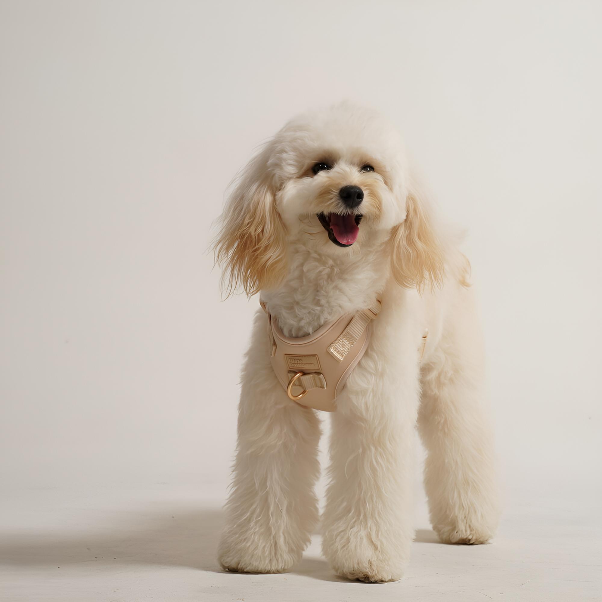 result_DSC02099-fotor-enhance-20251117164428