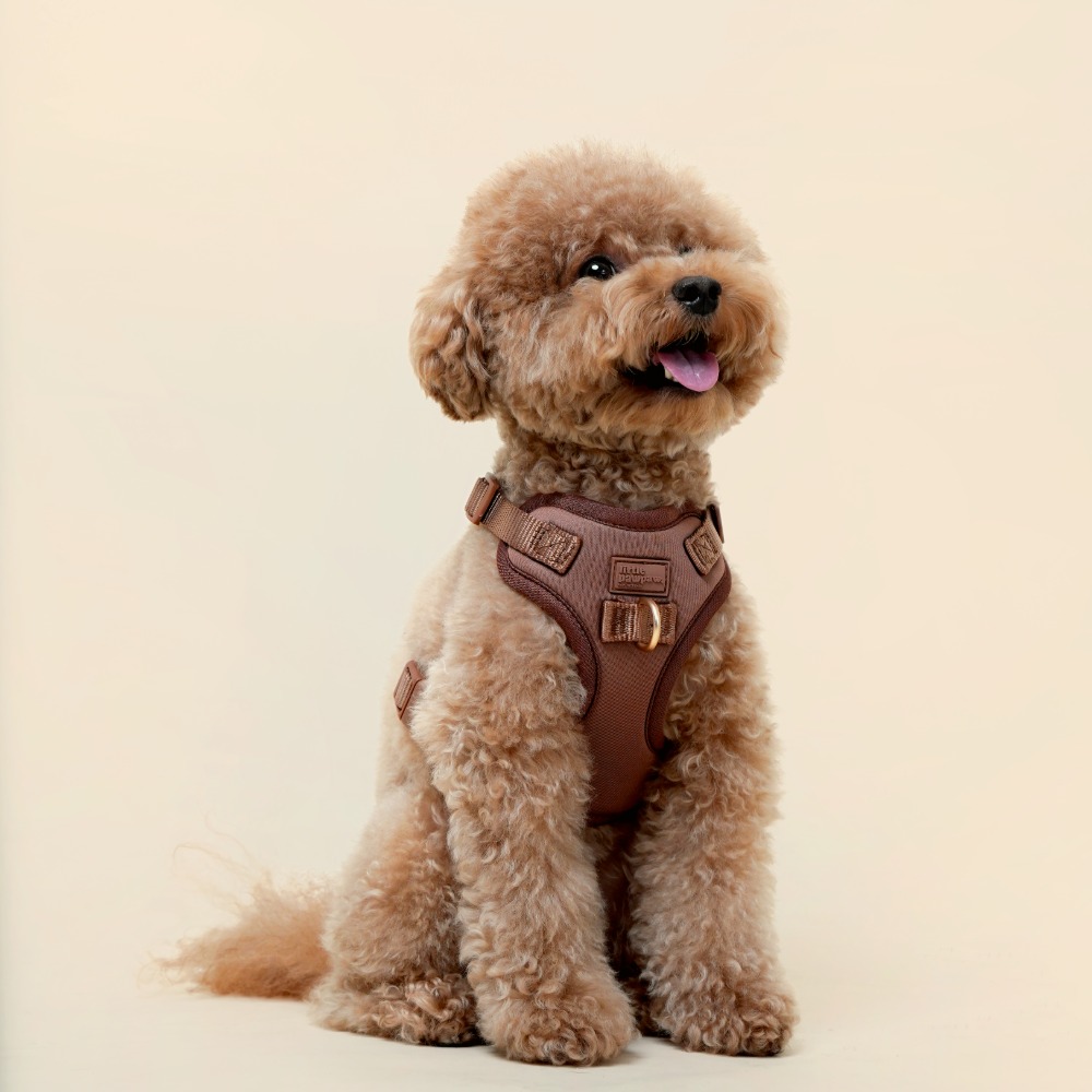 「調整_影像_大小」專_案拷貝3