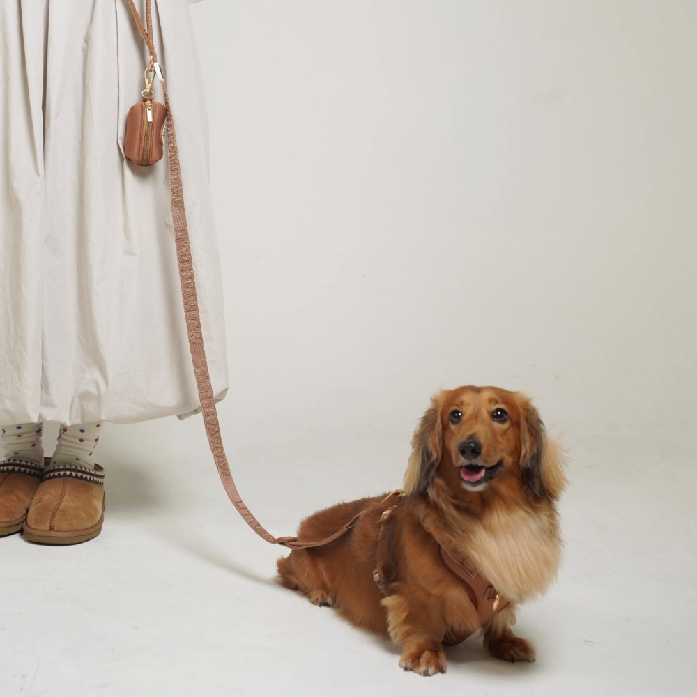 「調整_影像_大小」專_案