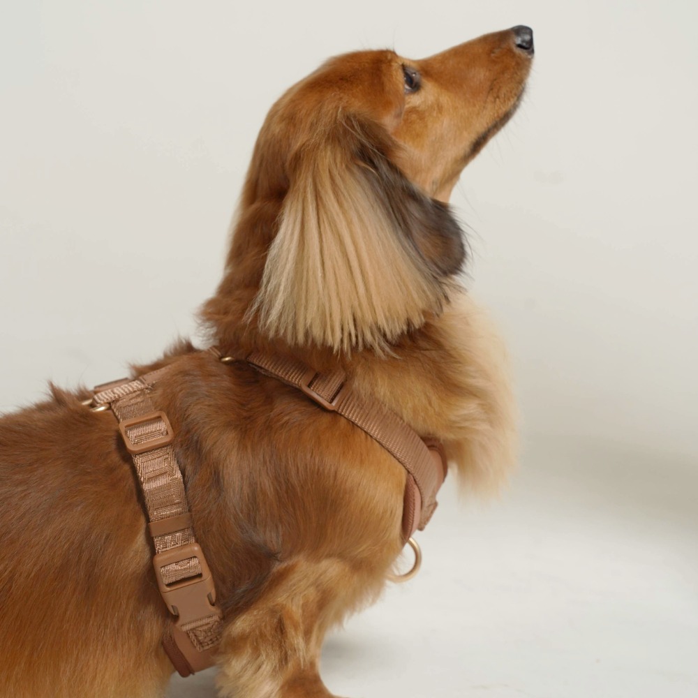 「調整_影像_大小」專_案 (2)