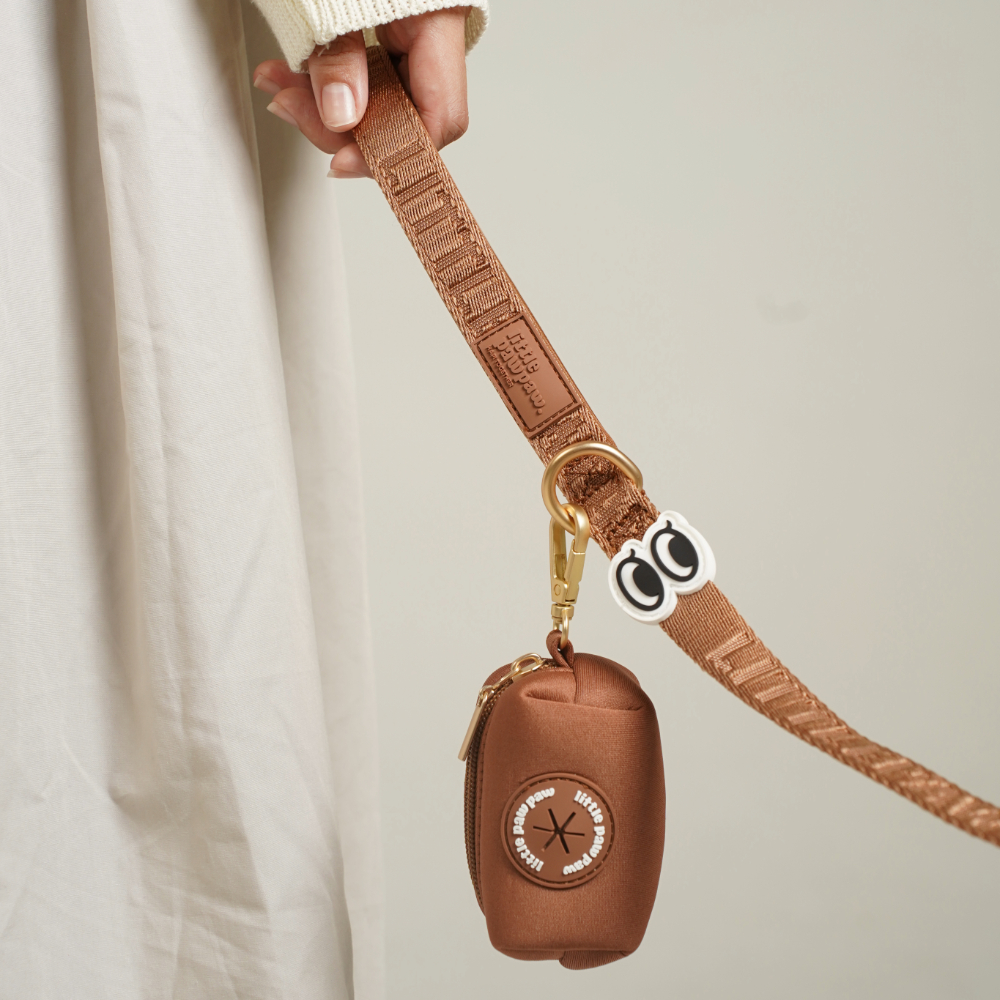 Adobe Express - file