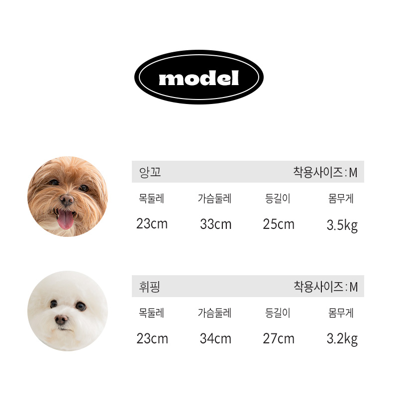 202412031336282142656490