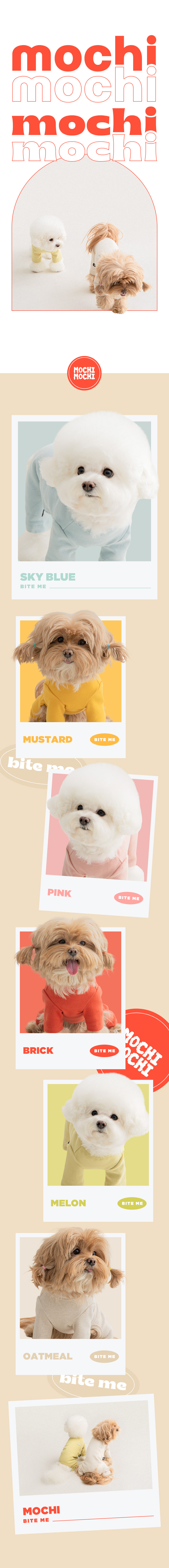 202412031336221316181307