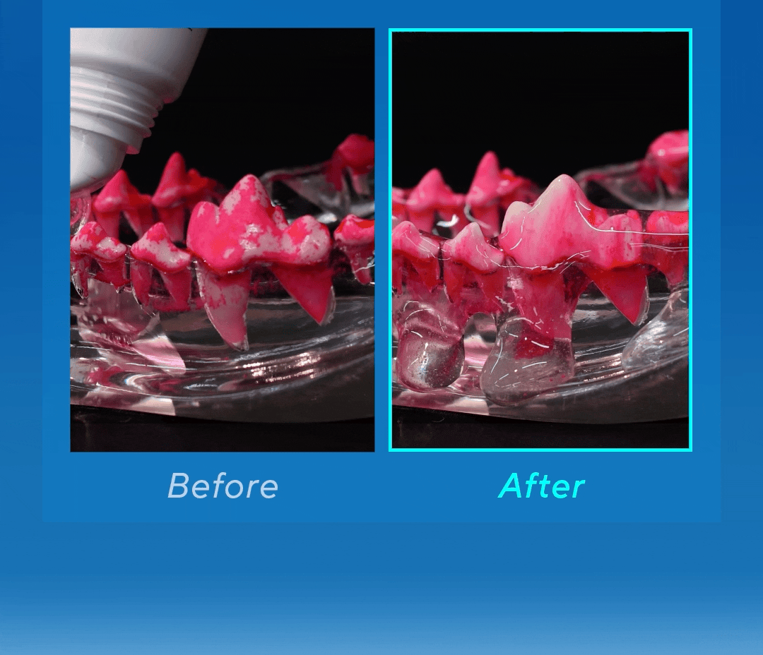 ByePlaque•蜂凝牙膏 ⛤ 90g_10-1