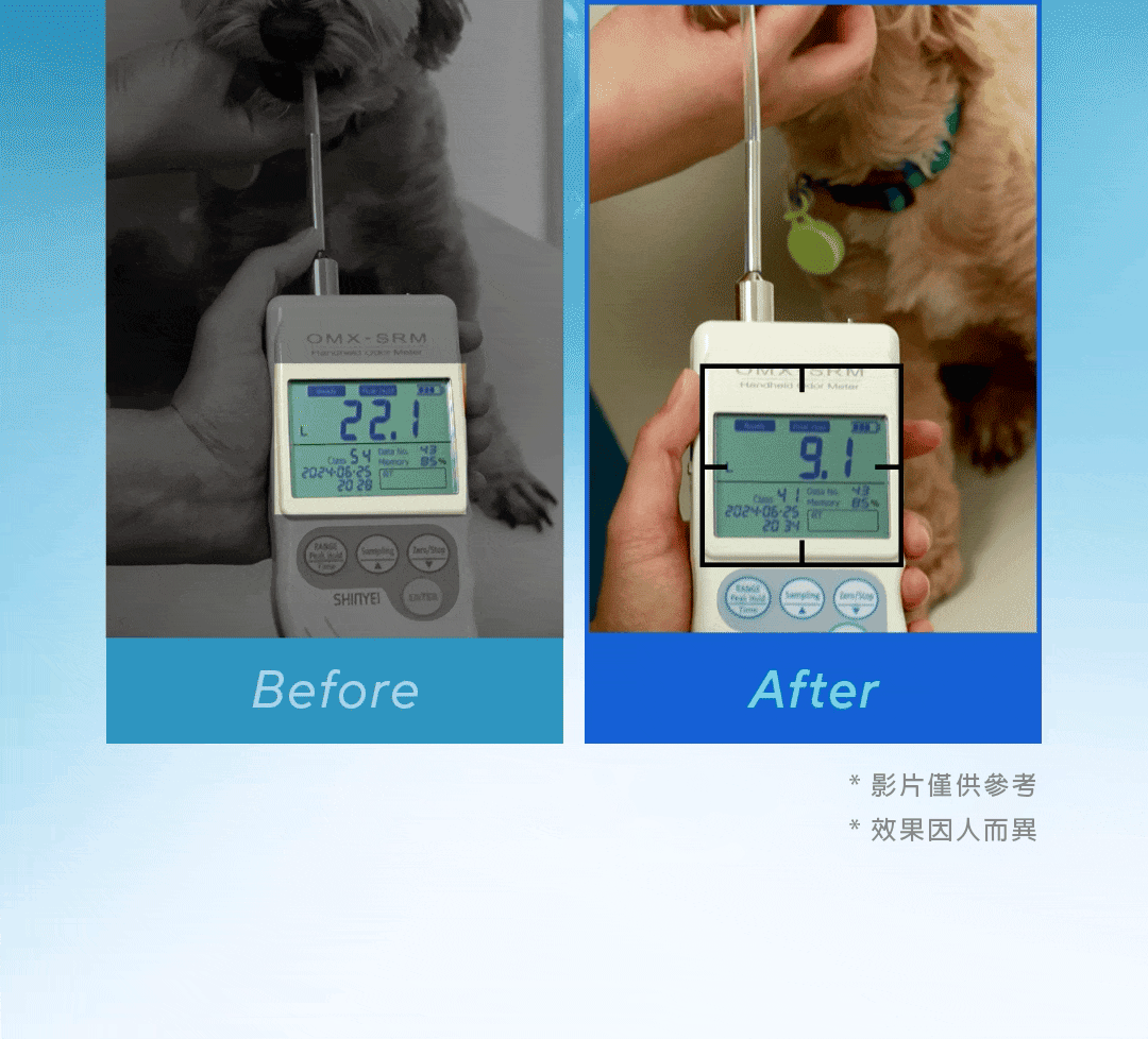 ByePlaque•蜂凝牙膏 ⛤ 90g_15-1