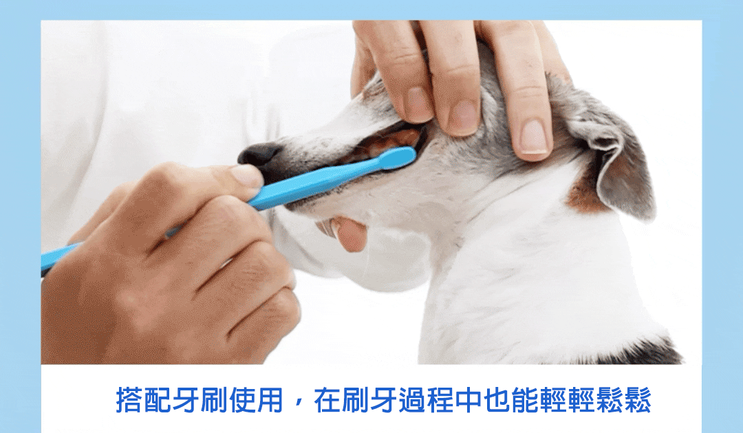 ByePlaque•蜂凝牙膏 ⛤ 90g_04-2