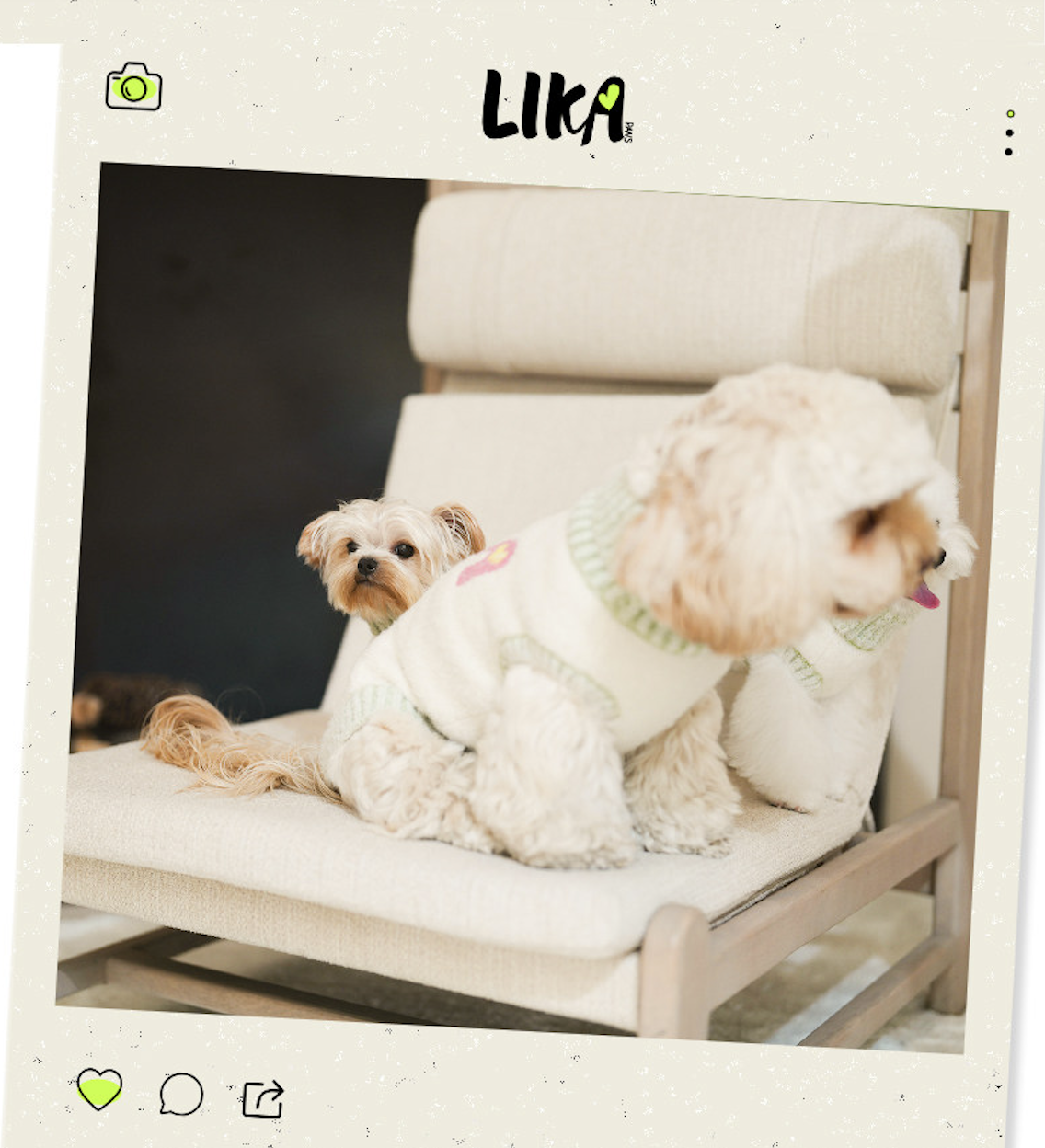 截圖 2026-01-23 下午3.57.24