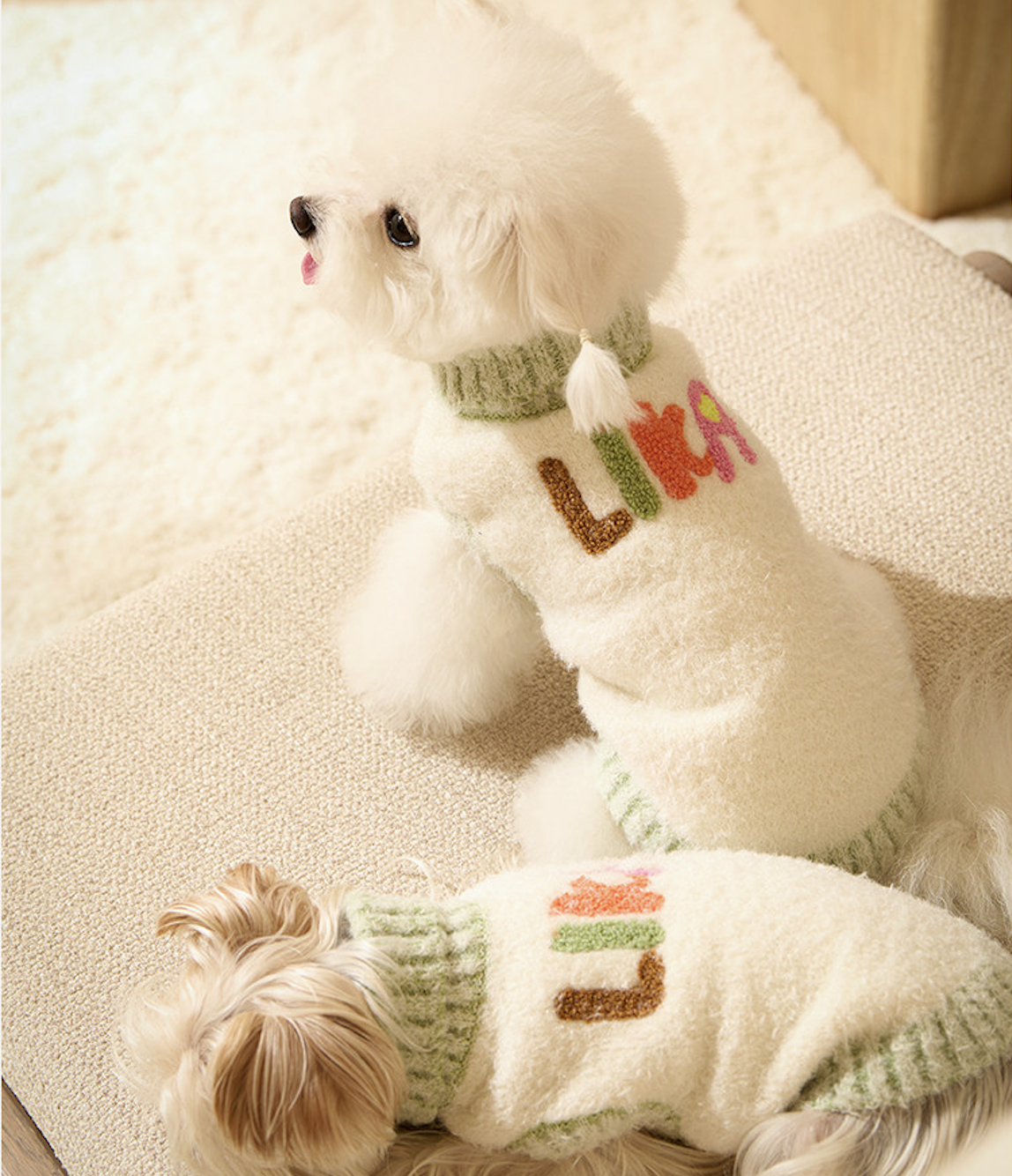 截圖 2026-01-23 下午3.56.05