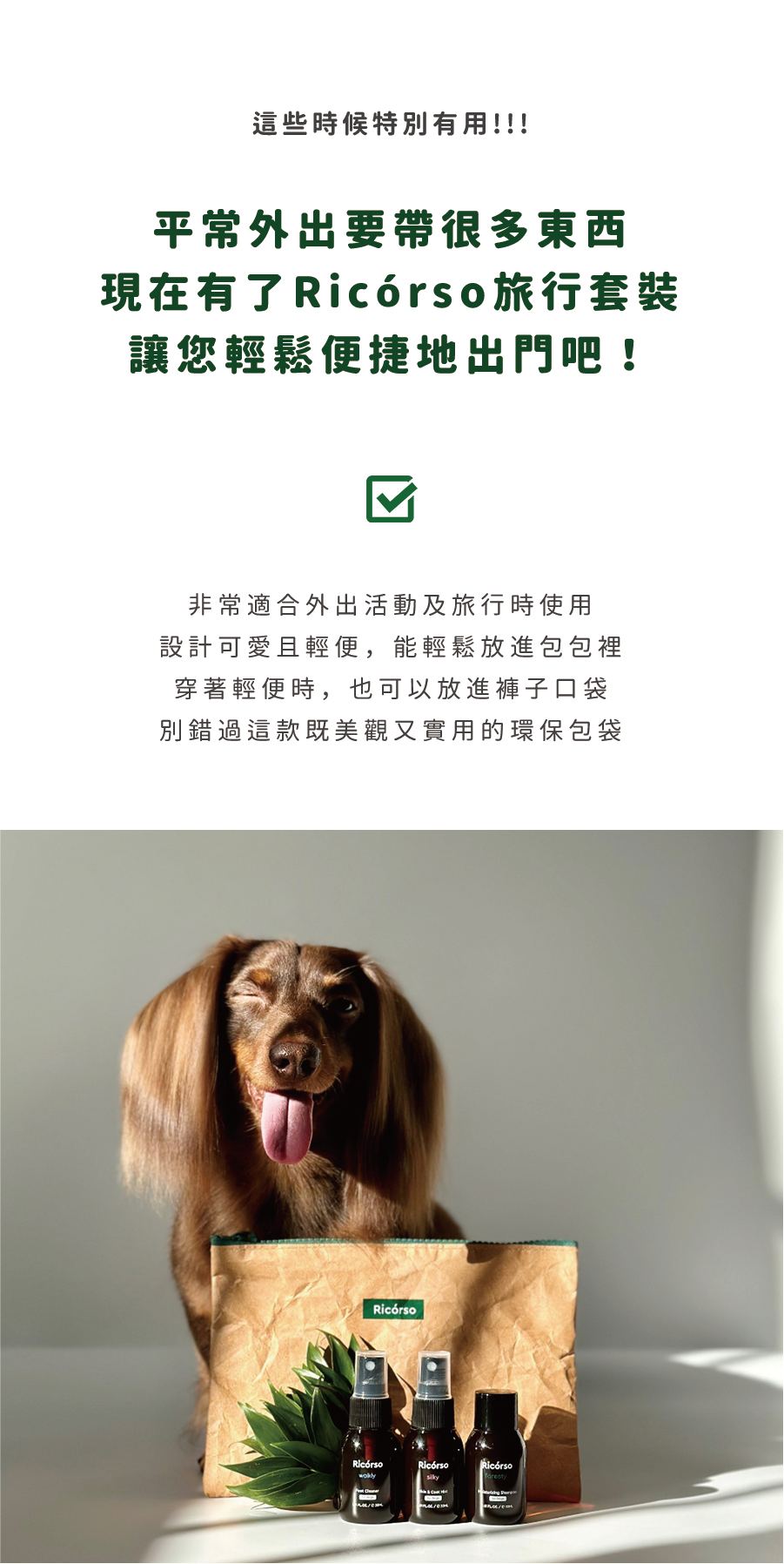 Ricorso_Eco_09 介紹4