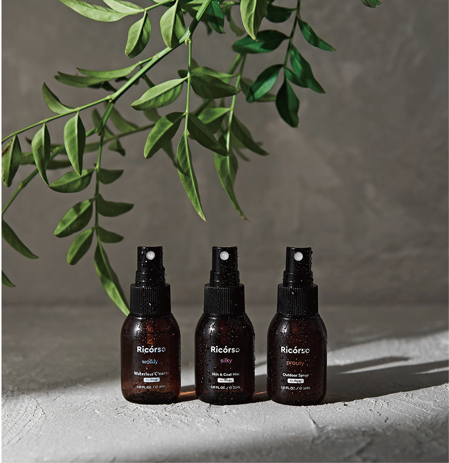 Ricorso_Eco_03 照片