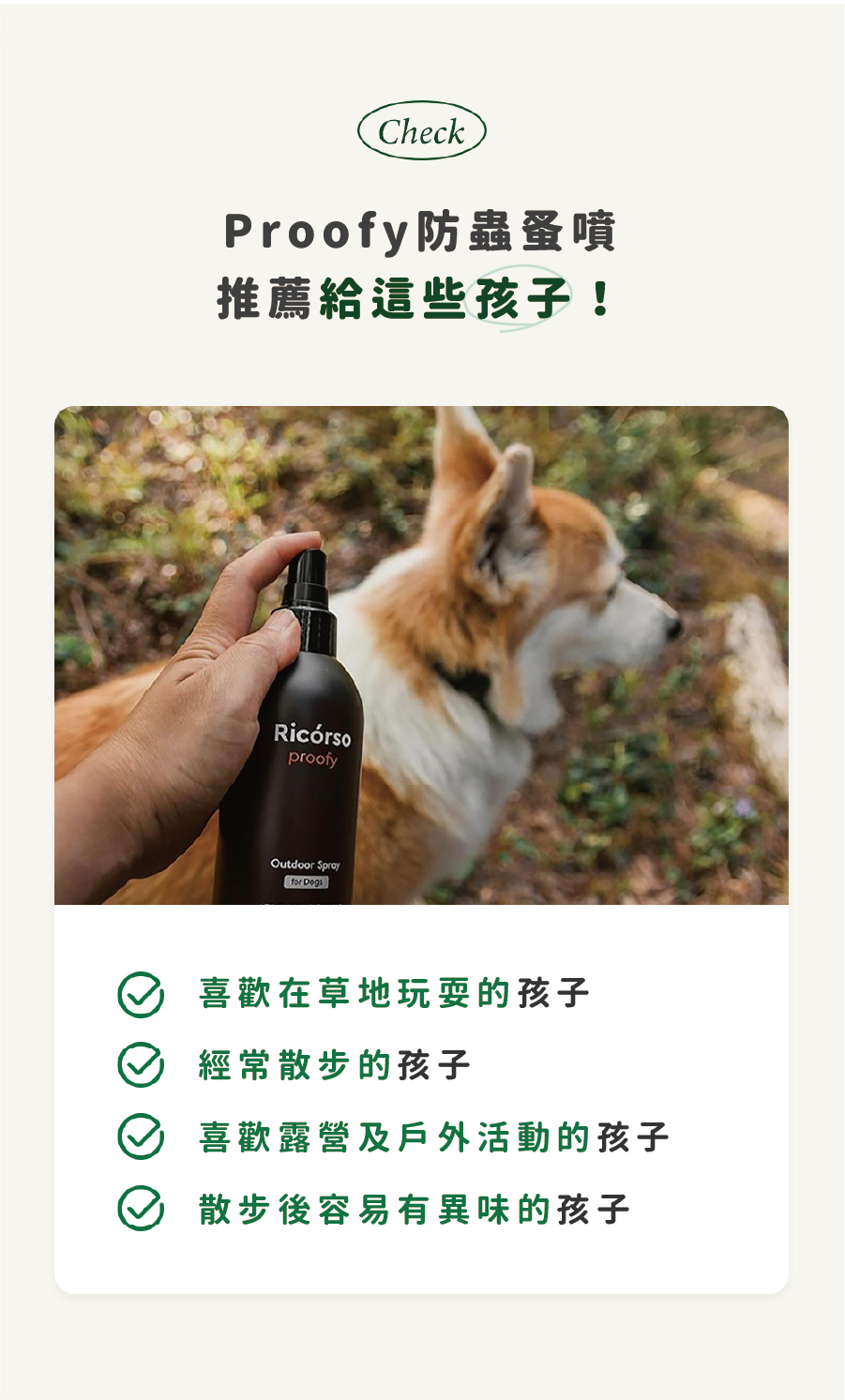 Ricorso_Proofy_06 介紹2