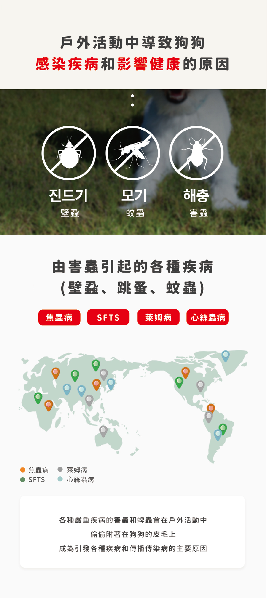 Ricorso_Proofy_08 介紹3