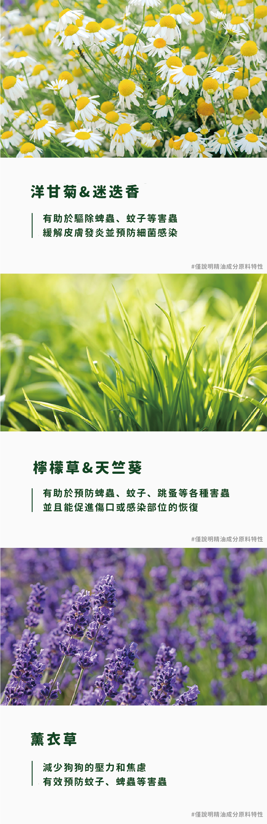 Ricorso_Proofy_15 介紹10