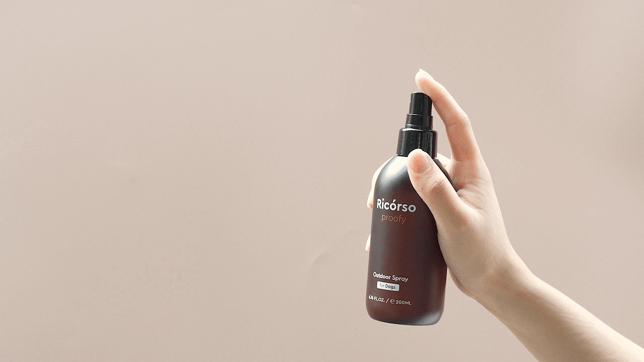 Ricorso_Proofy_18-1 介紹13