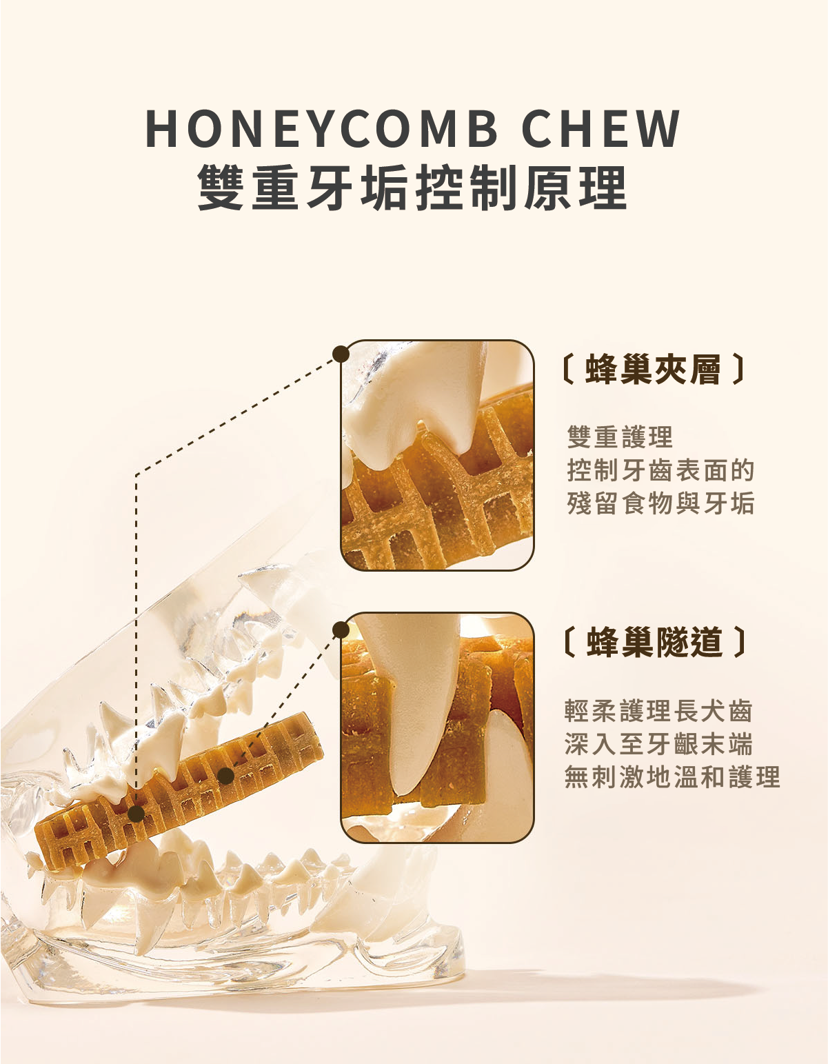 蜂巢六角潔牙骨 起司S 11