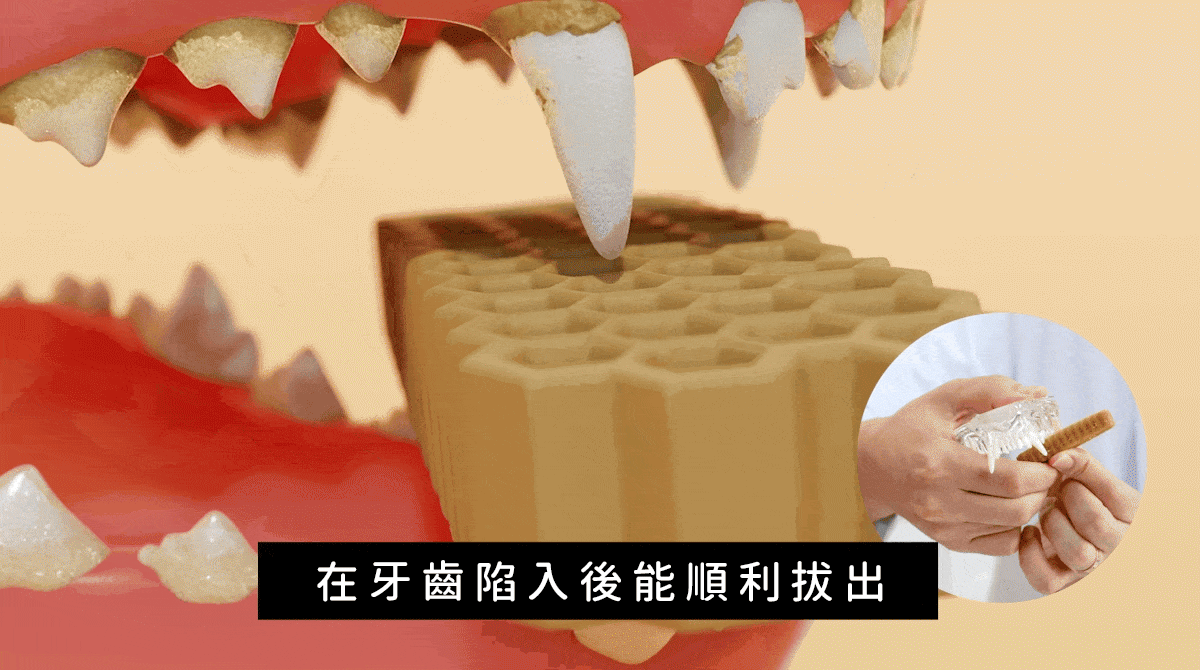 蜂巢六角潔牙骨 起司S 19-2