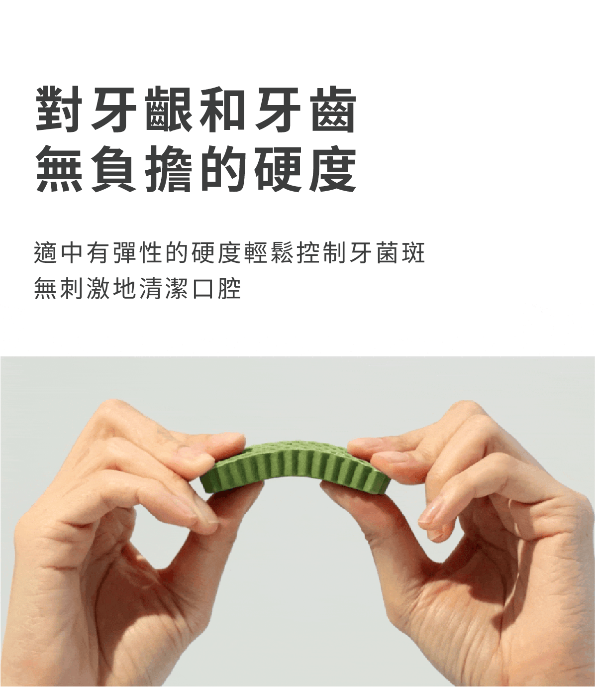 蜂巢六角潔牙骨 蔬菜 17 xx