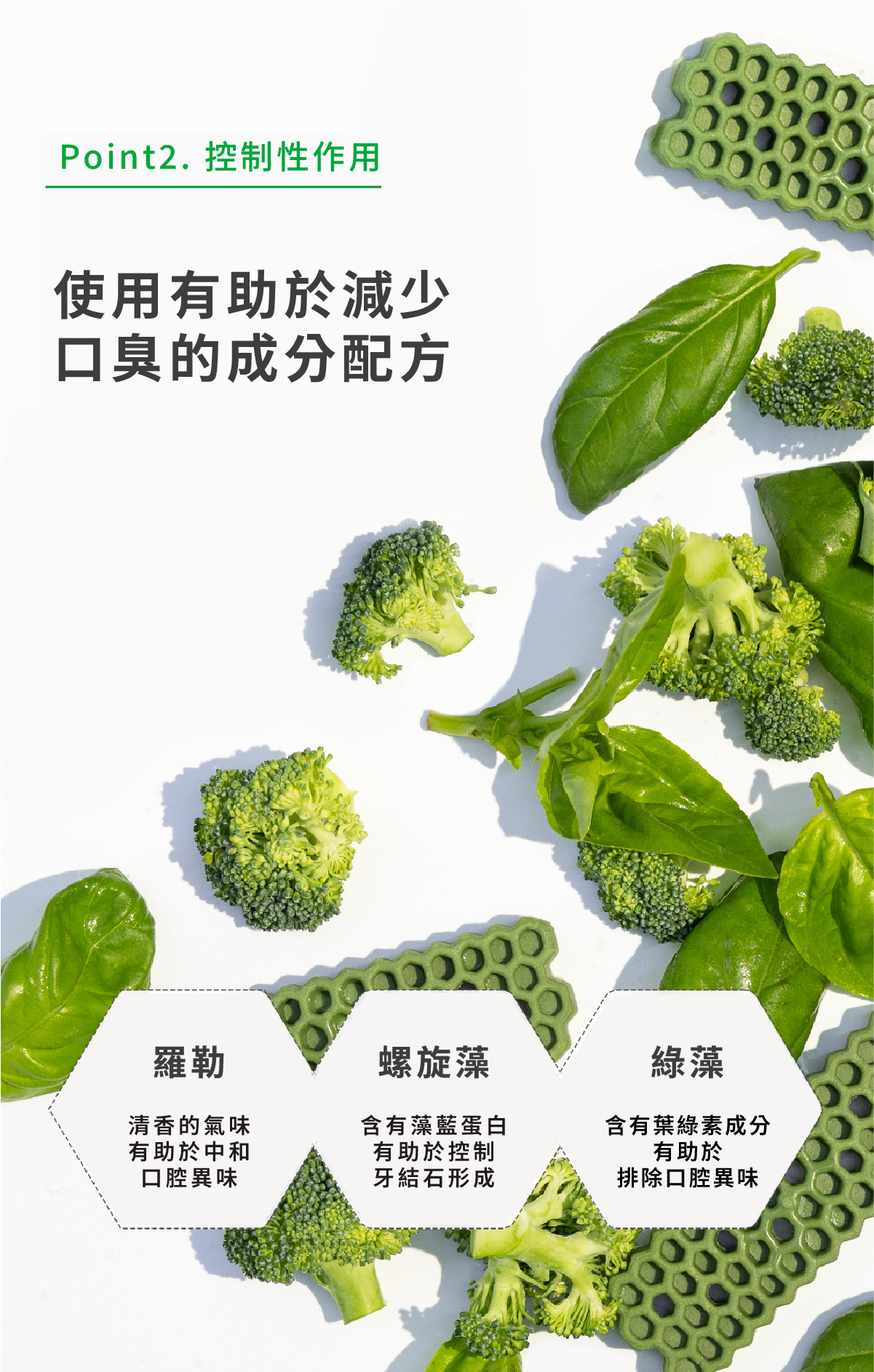 蜂巢六角潔牙骨 蔬菜 13