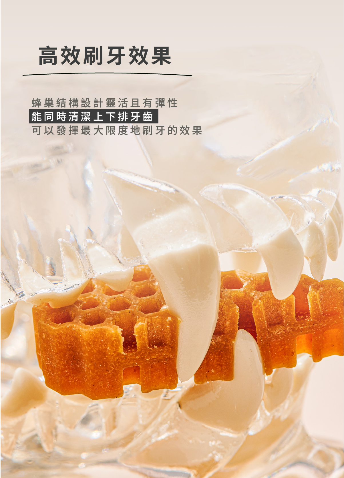 蜂巢六角潔牙骨 蔬菜 18-2