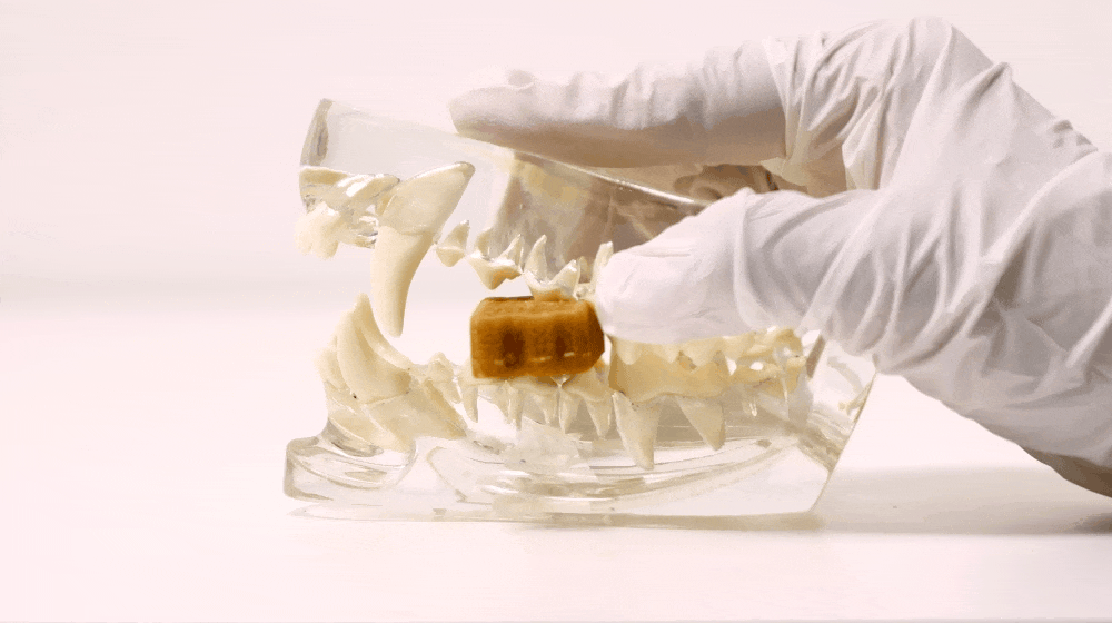 蜂巢六角潔牙骨 藍莓明太魚M 12-2