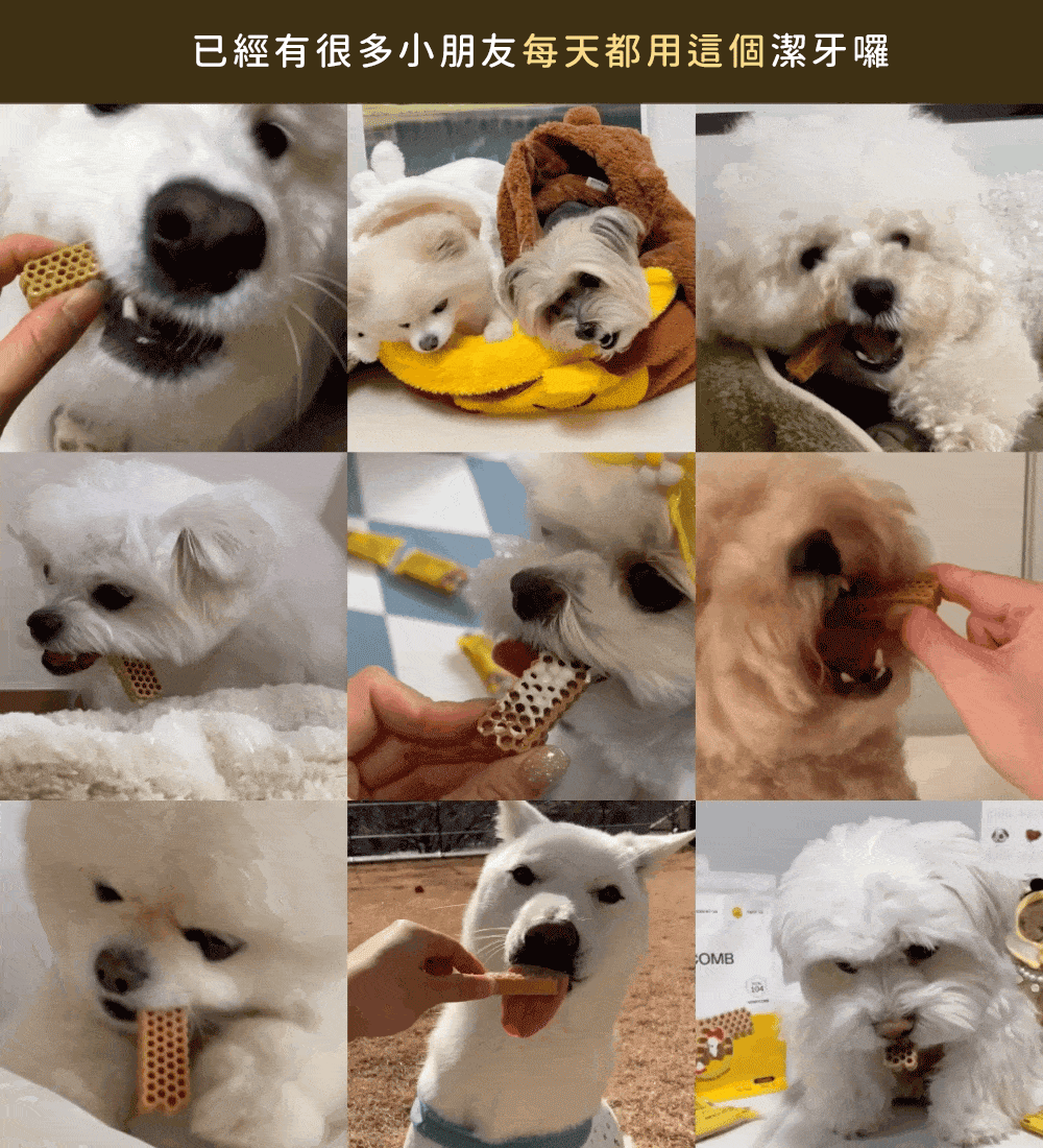 蜂巢六角潔牙骨 藍莓明太魚M 5-1