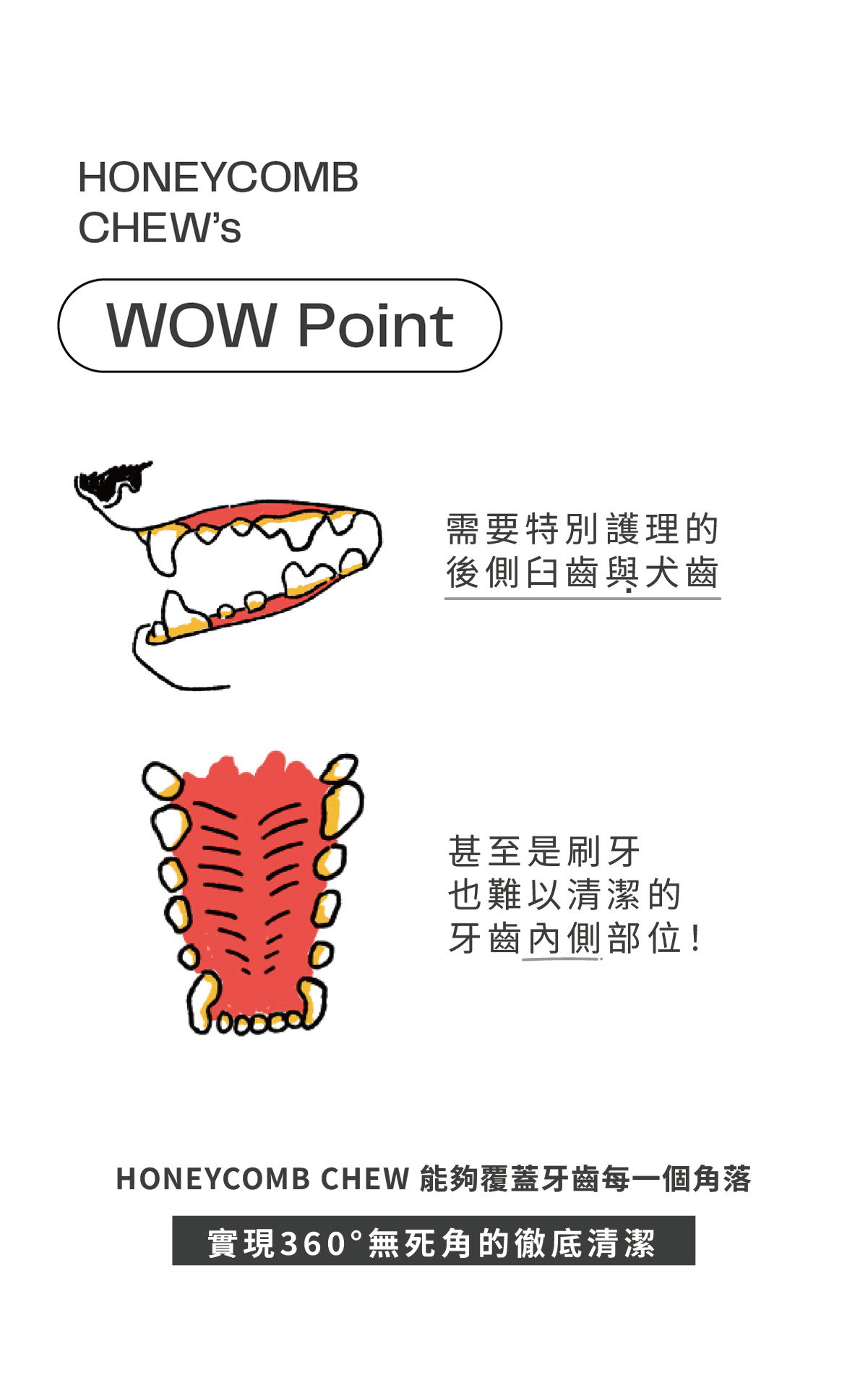 蜂巢六角潔牙骨 明太魚M 16