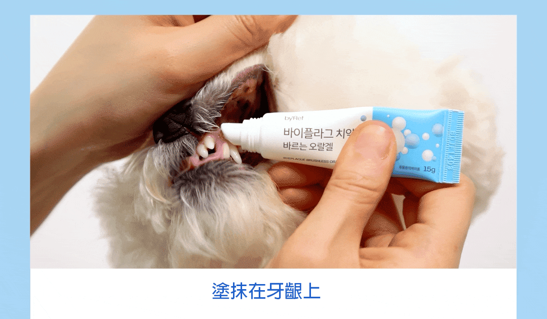 ByePlaque•蜂凝牙膏 ⛤ 15g_02-2