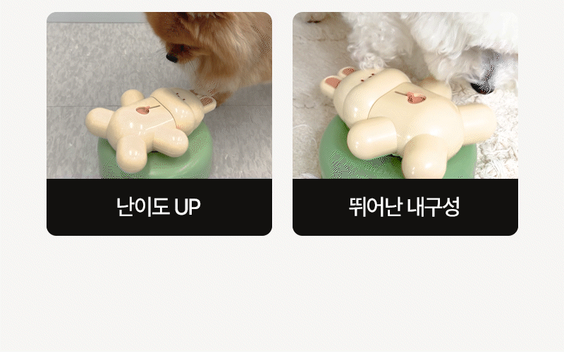 202602091104531302772108