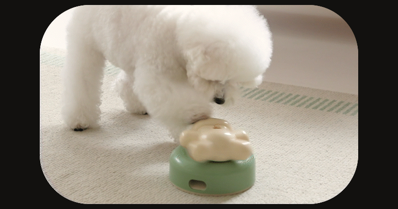 20260202161044176796234