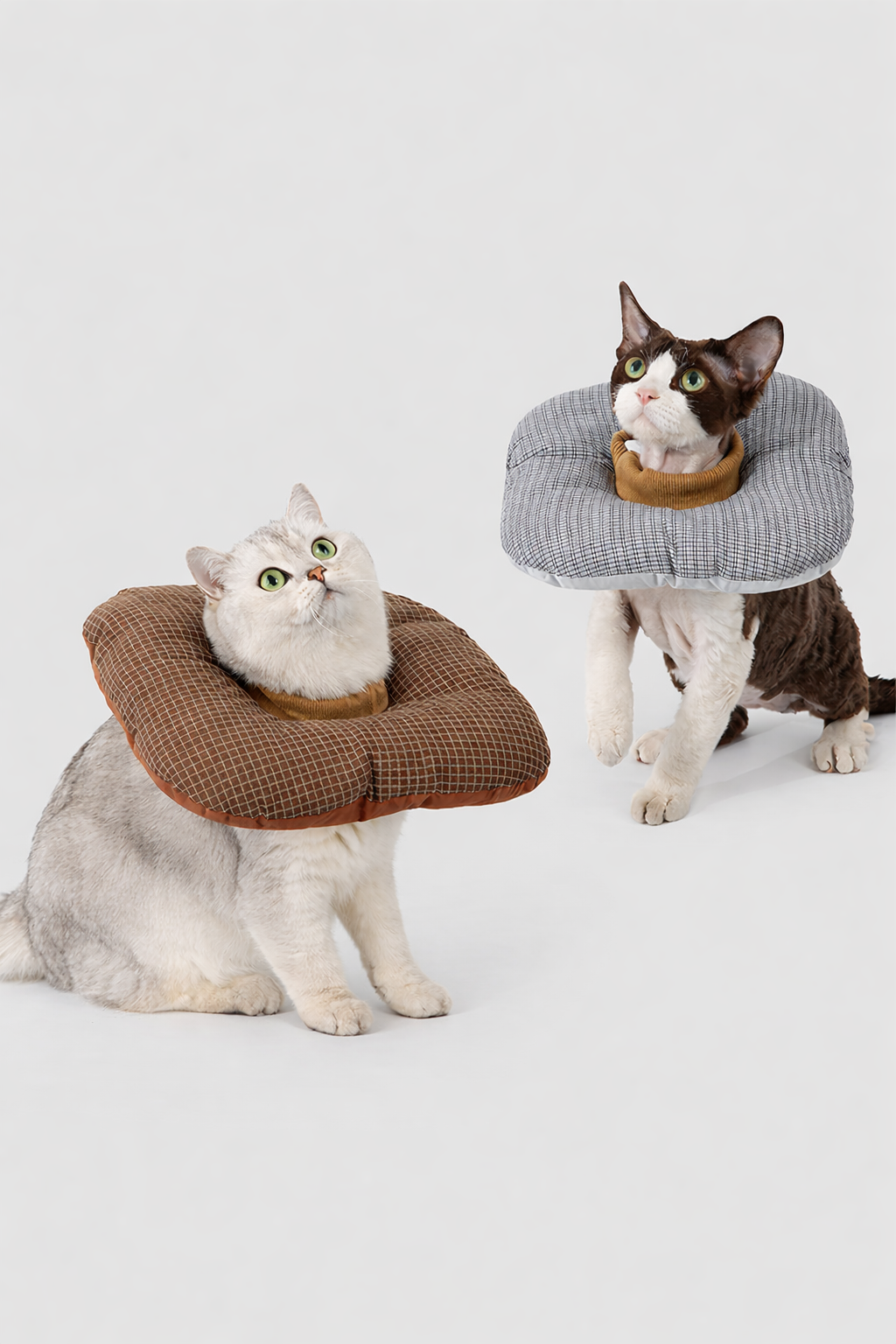 25b168e1-ff96-4f52-8d45-dab893108140