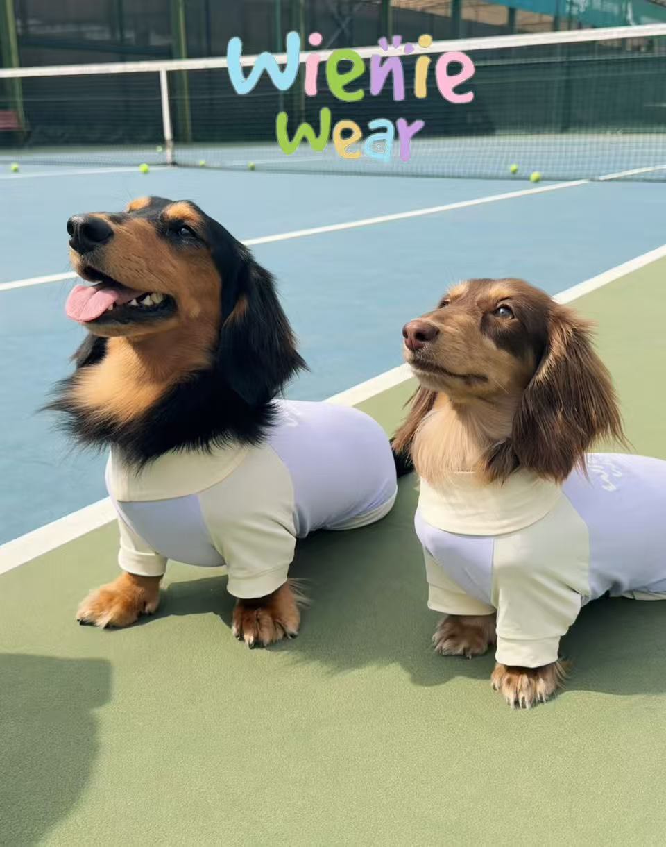 45D5081E-81AE-4A24-9991-C1274FBCED4B