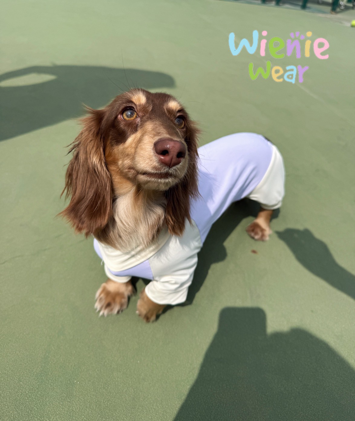 811361C1-99C6-484C-B73C-0C4BDC621603