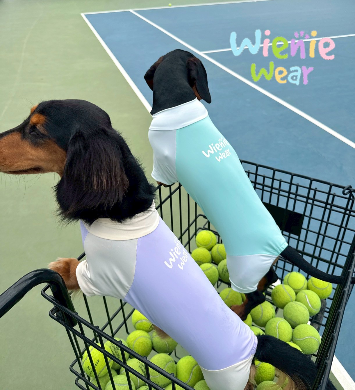 FFCA8E3D-9764-419B-85FE-D2E2F0E9E7D7