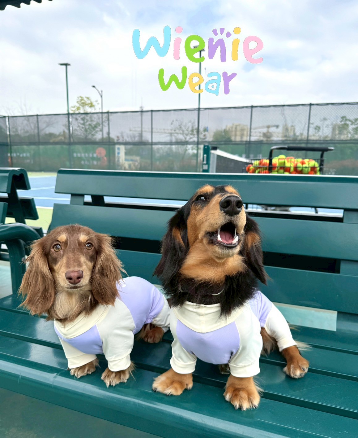 4F376AC5-EEFE-495C-ABF0-0D49F905FF42