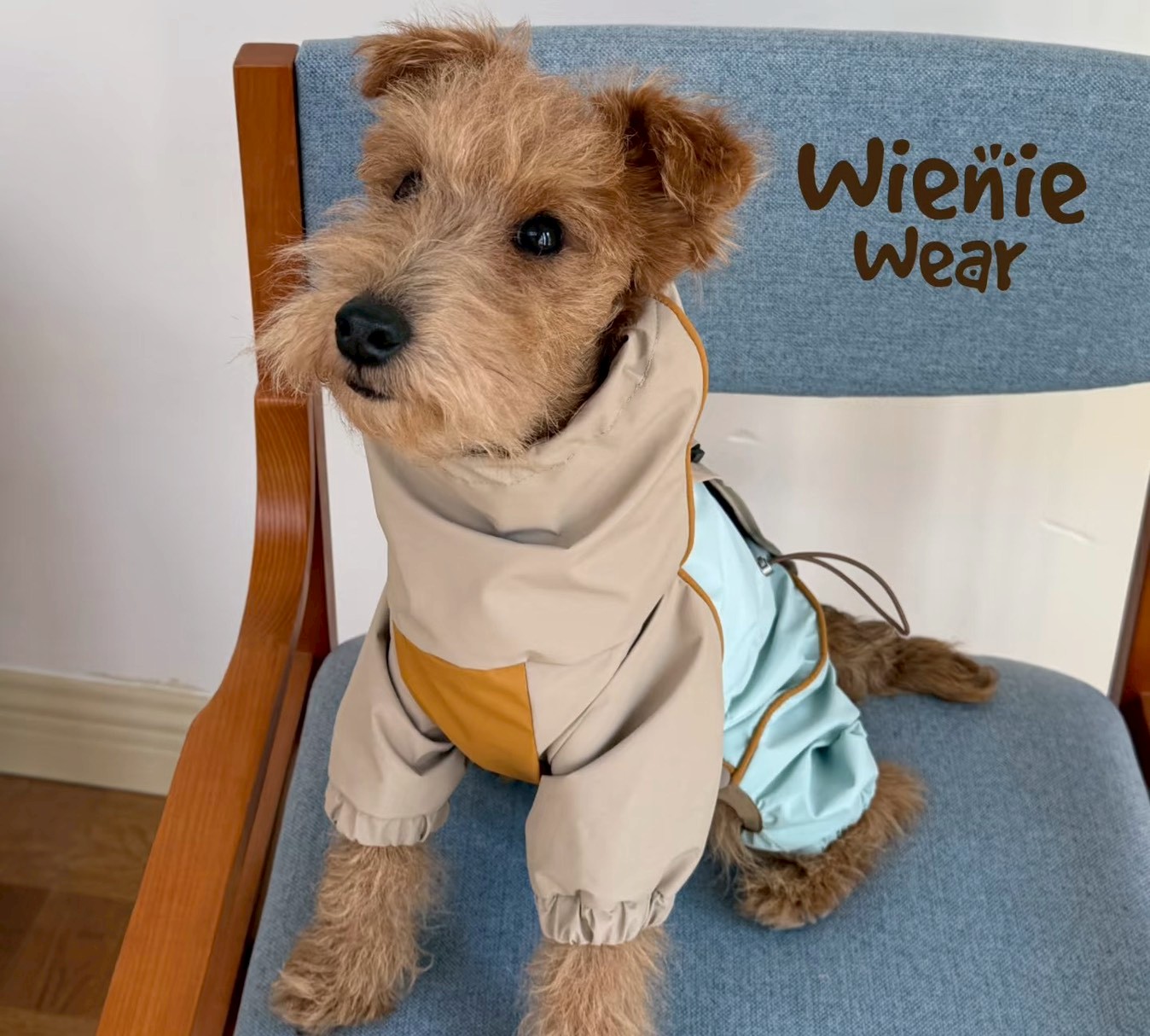 95003FE8-308D-4F82-A609-1A02B7D1A409