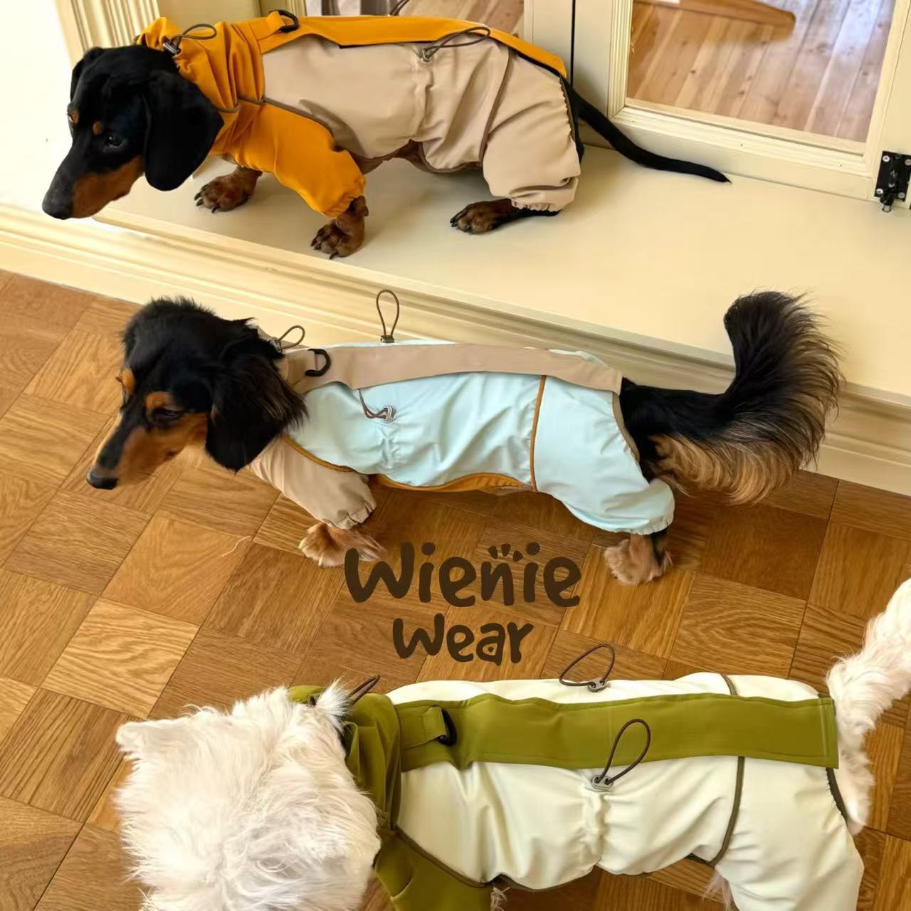 6D752C20-A681-4C47-9746-339EF860A84D