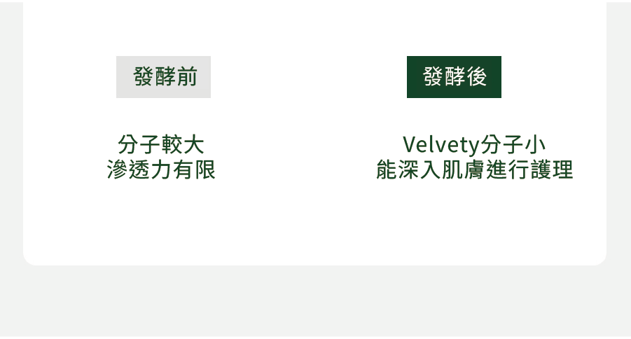 Velvety_260216_09-2