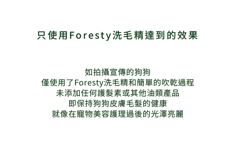 Foresty_260216_16