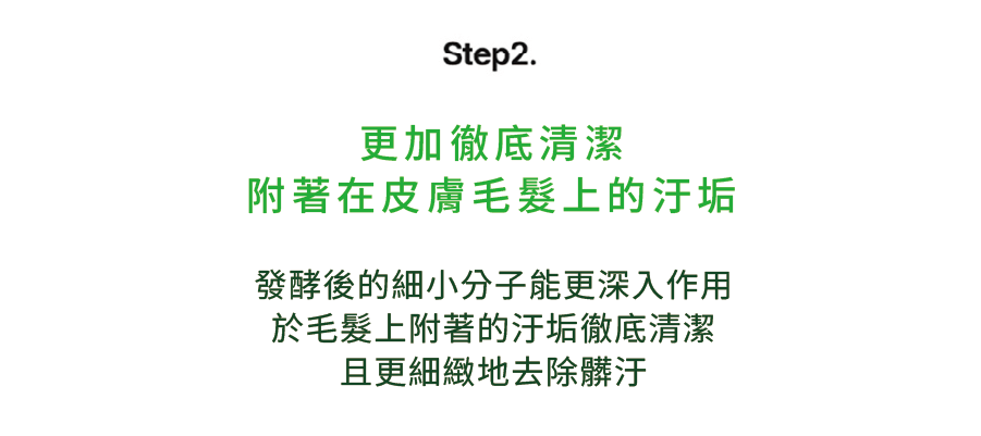 Foresty_260216_13