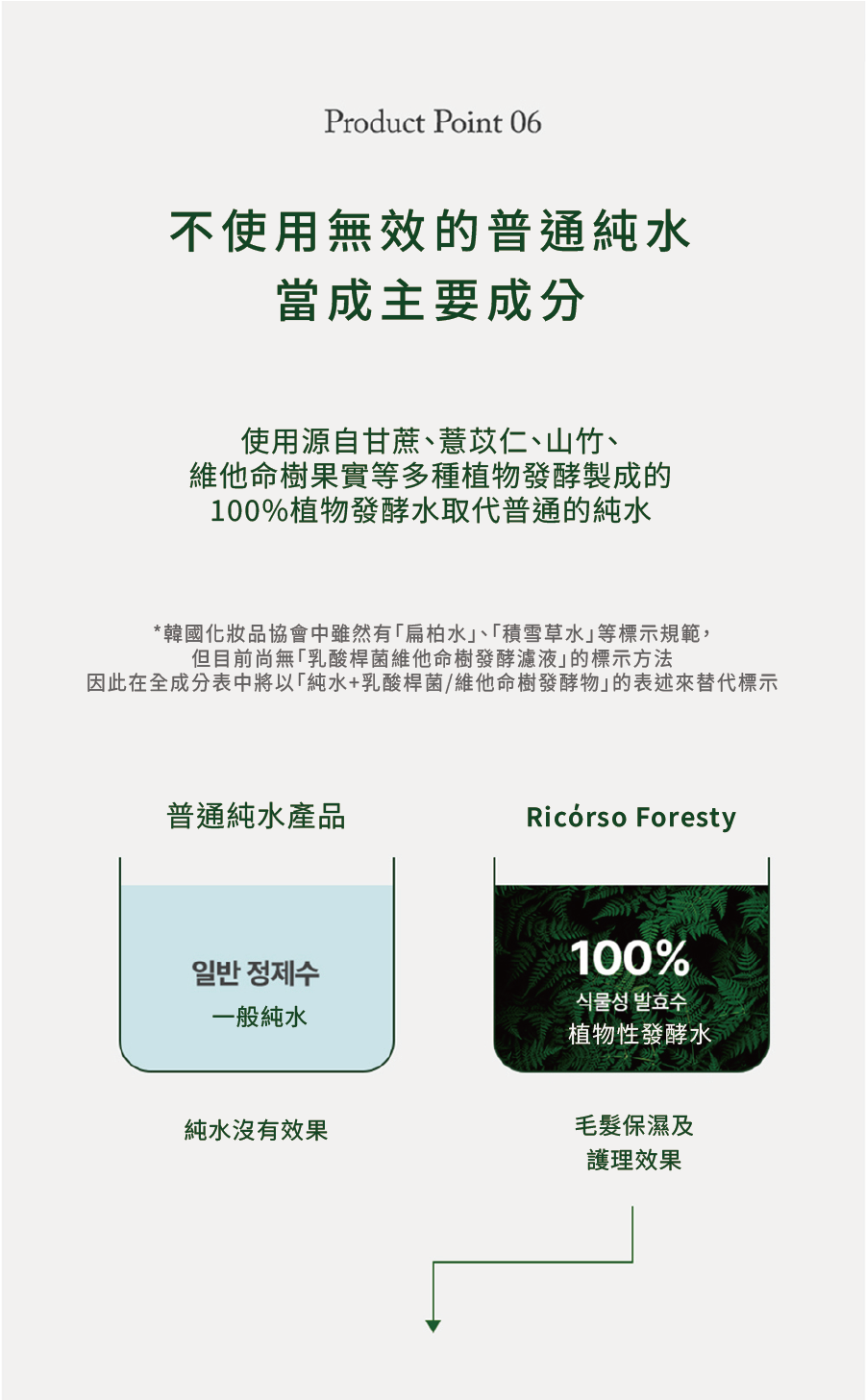 Foresty_260216_10