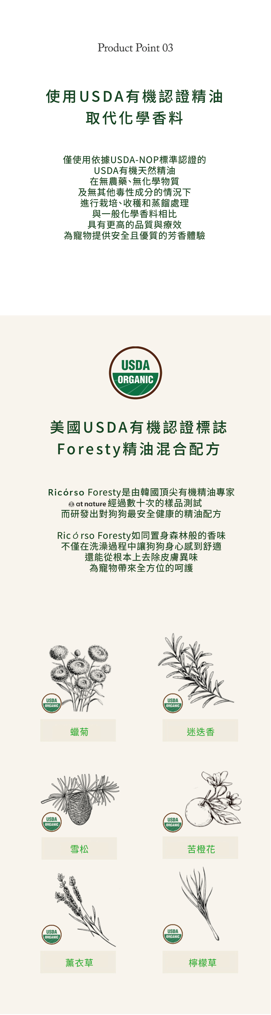 Foresty_260216_07
