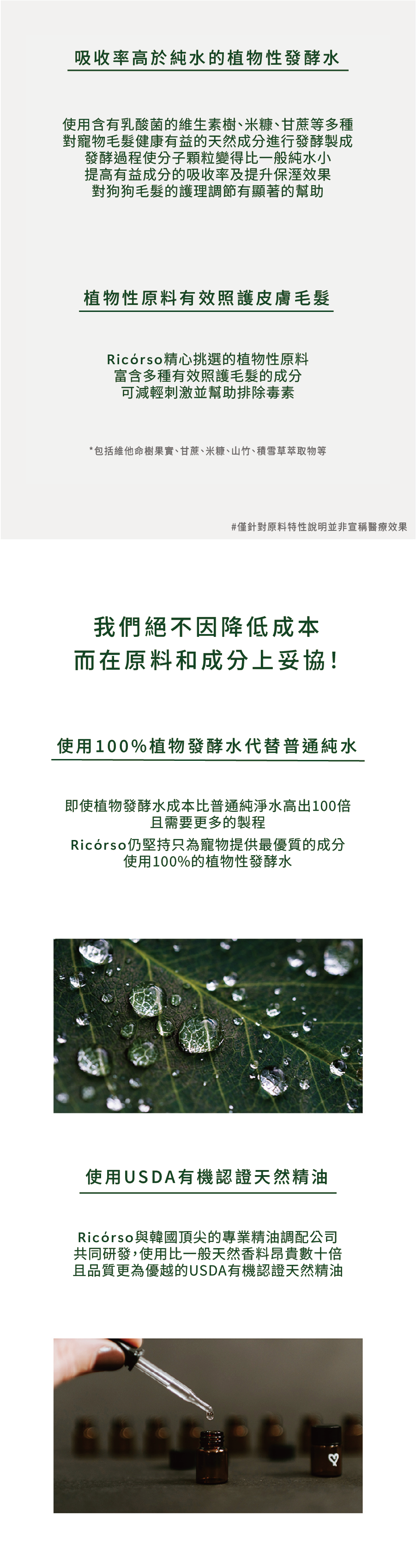 Foresty_260216_11