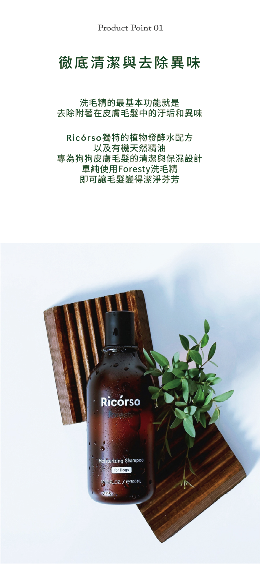 Foresty_260216_05