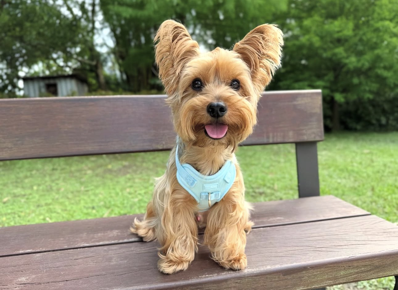 S__80224263_0