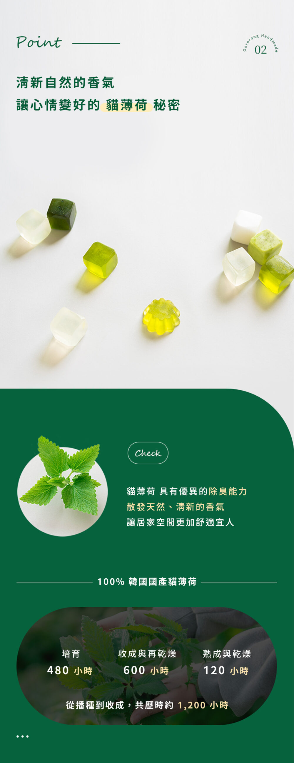 工作區域-5_0-1000x2590