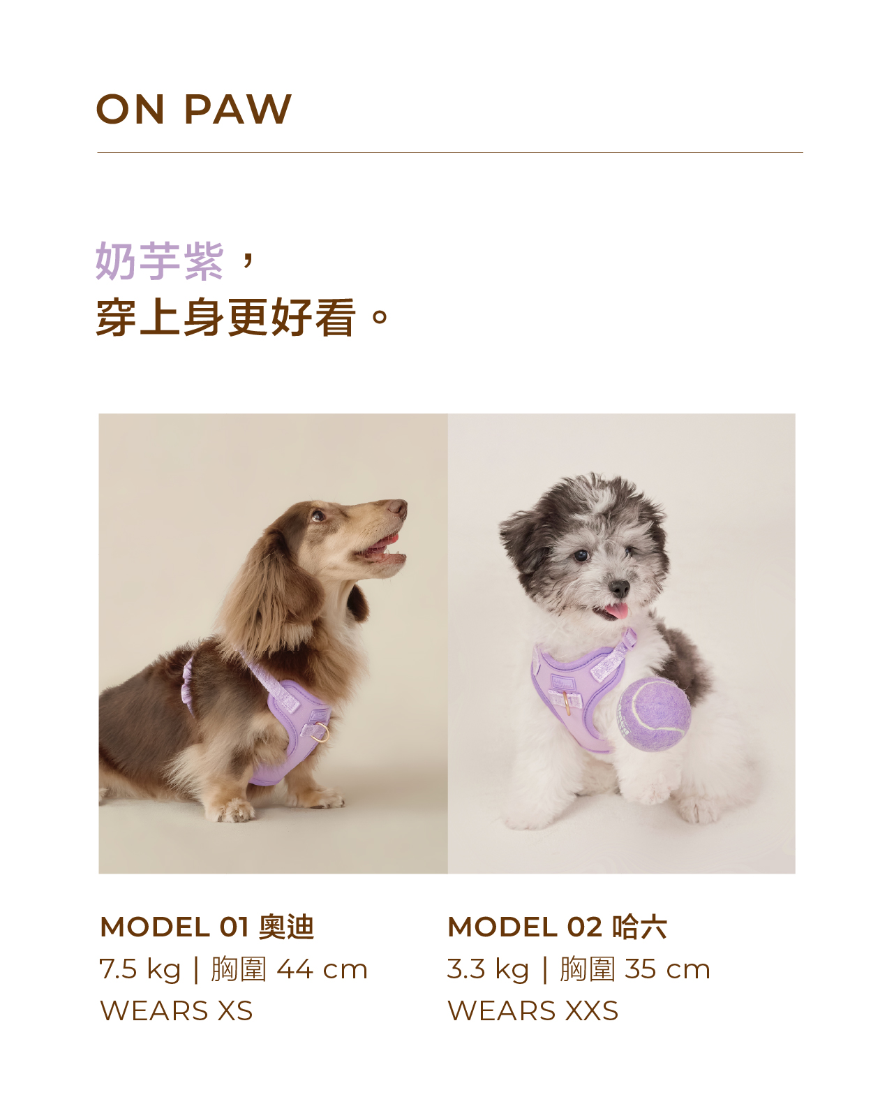 harness-太空-pur_18