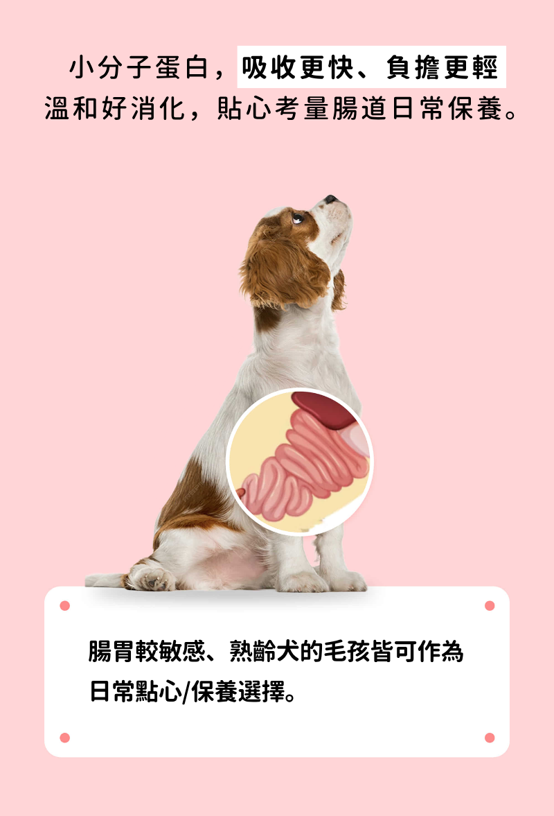 潔牙夾心軟點心_009