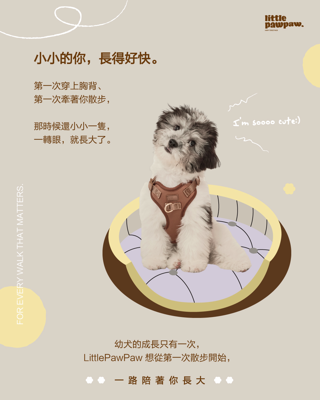  | LittlePawPaw｜陪毛孩走過每個重要時刻