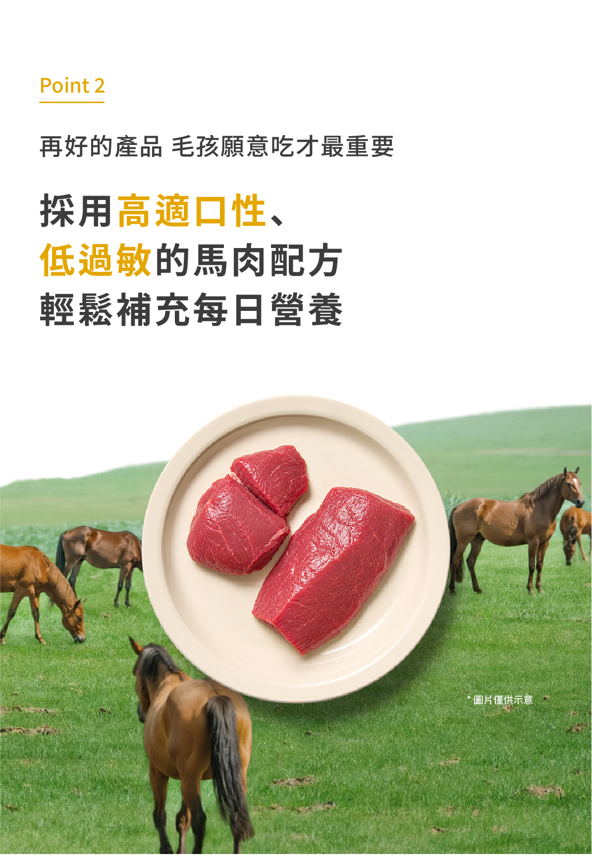馬肉零食08